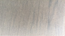 55*30*0.05mmの天井LEDライト拡散器プラスチックほこりのないDE 011267